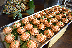 SHOWER THE BRIDE AND GROOM